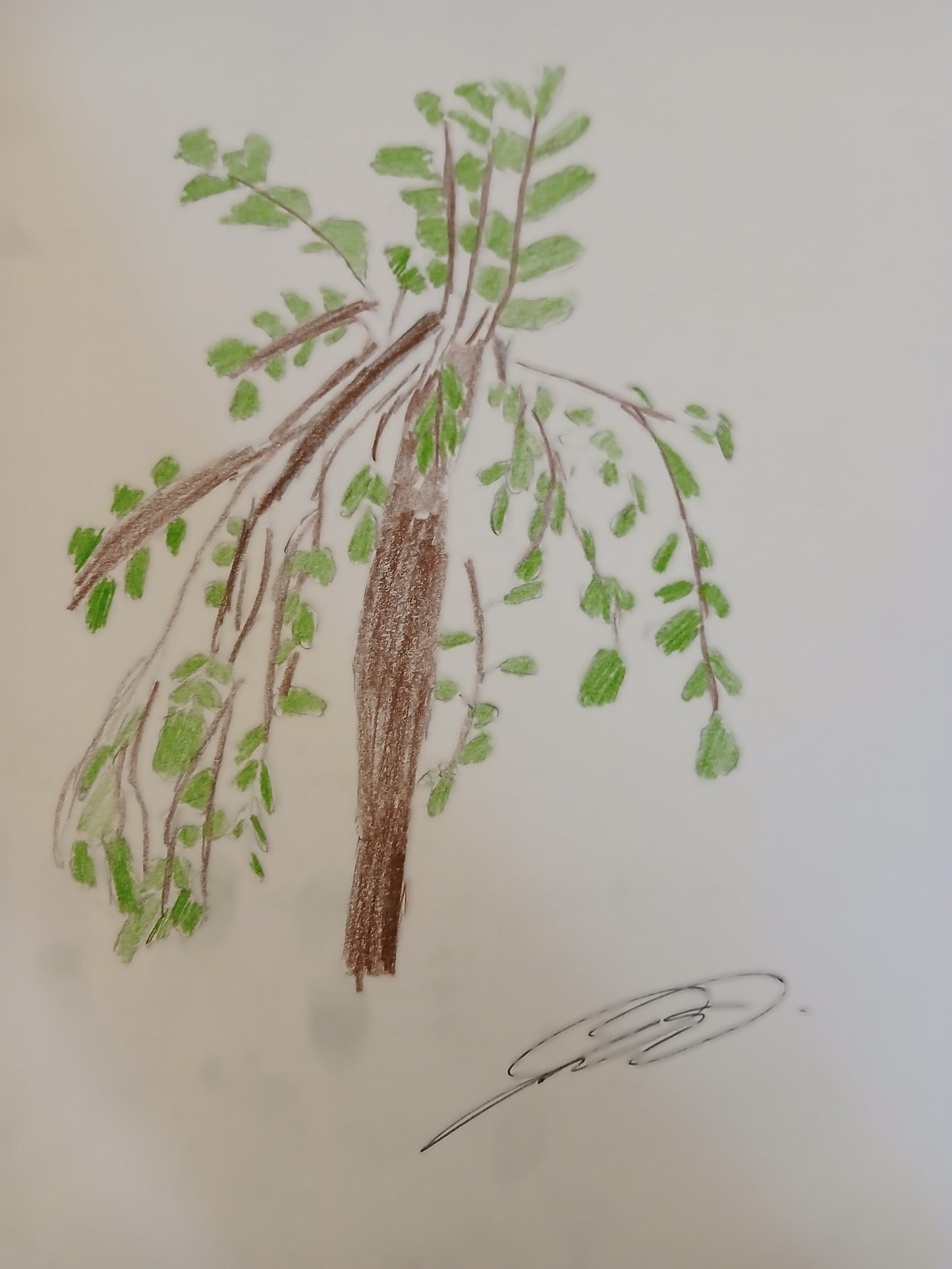 Digital Art of an Original Drawing of A Tree Outside the House by Joseph Evaldi
