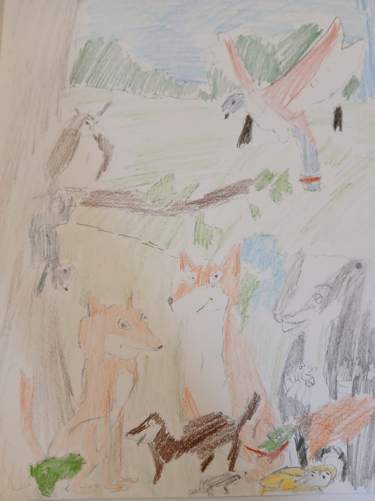 Many Animals in Nature