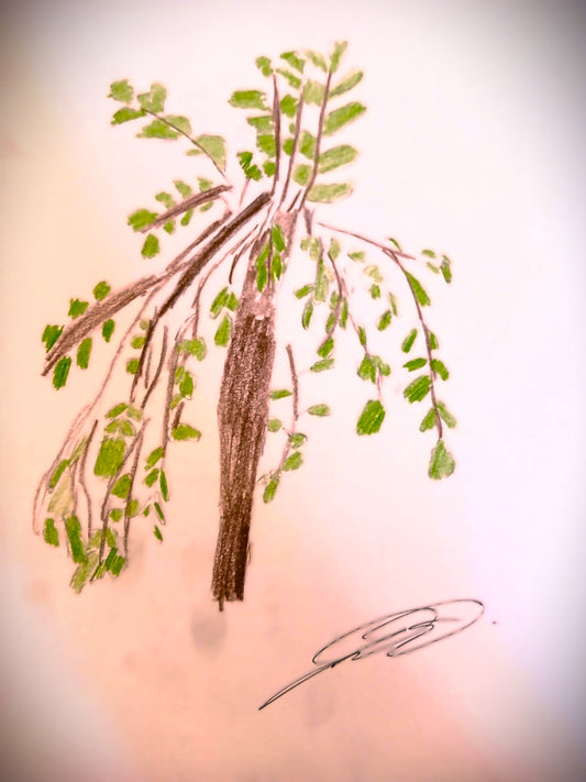Digital Art of an Original Drawing of A Tree Outside the House by Joseph Evaldi